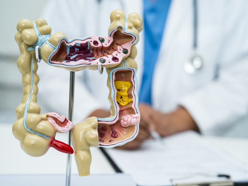 Tạng Phủ, Đởm, Tiểu Trường – Đại Trường