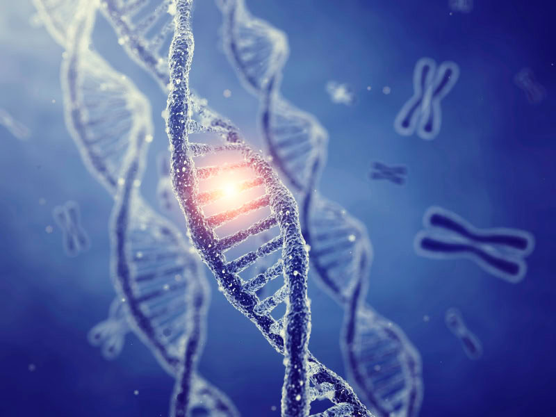 Bất Nội Ngoại Nhân