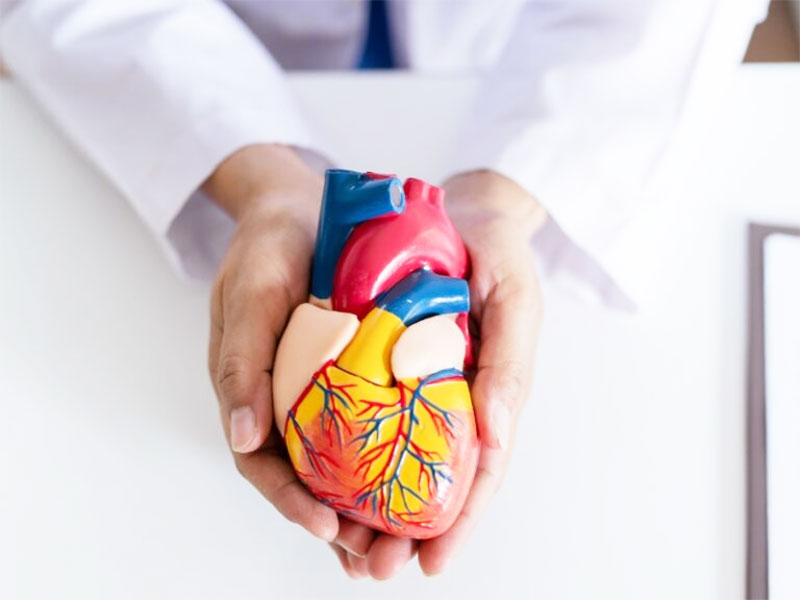 Học Thuyết Tạng Phủ