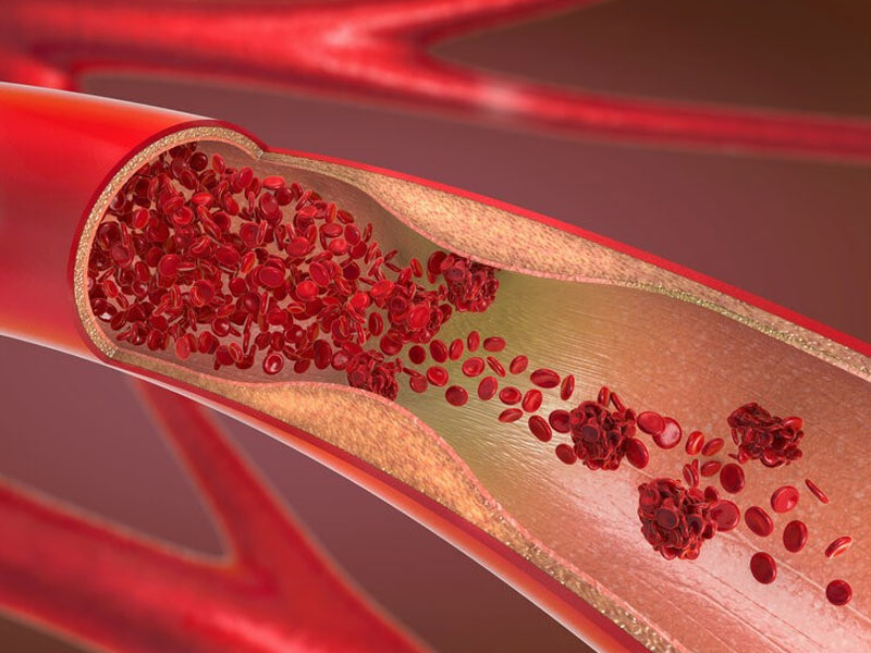 Khí Huyết, Tân Dịch