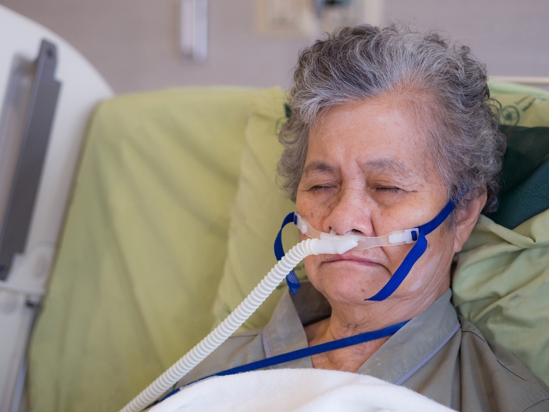 Tạng Phế Trong Đông Y: Là gì? Chức năng, Bệnh lý, Điều trị