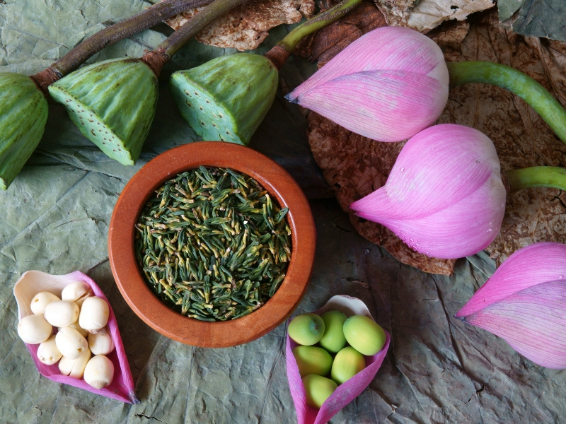 Hạt sen già còn vỏ - "Vũ khí bí mật" giúp quý ông tự tin, khỏe mạnh