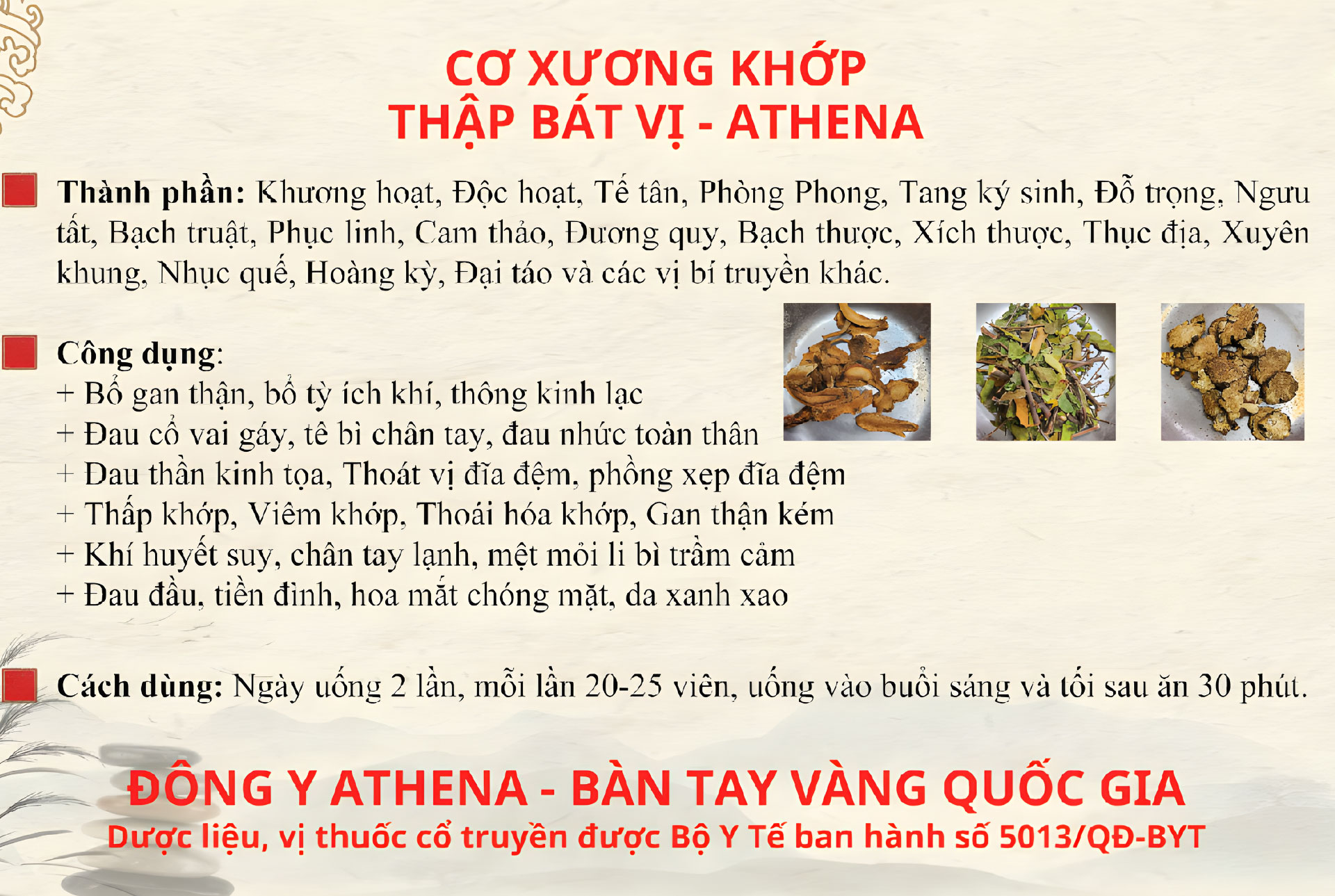 Cơ Xương Khớp Thập Bát Vị