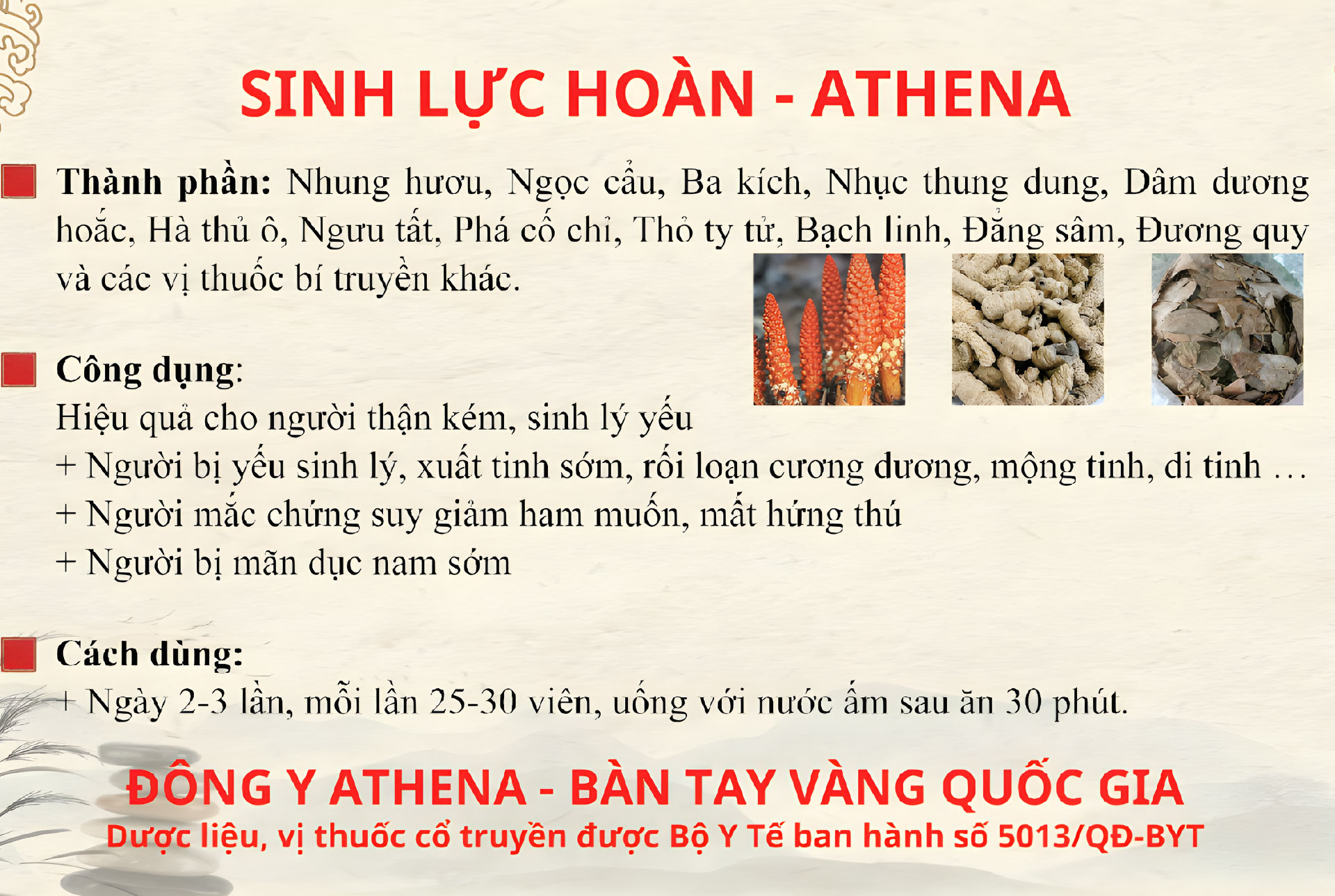 Sinh lực hoàn