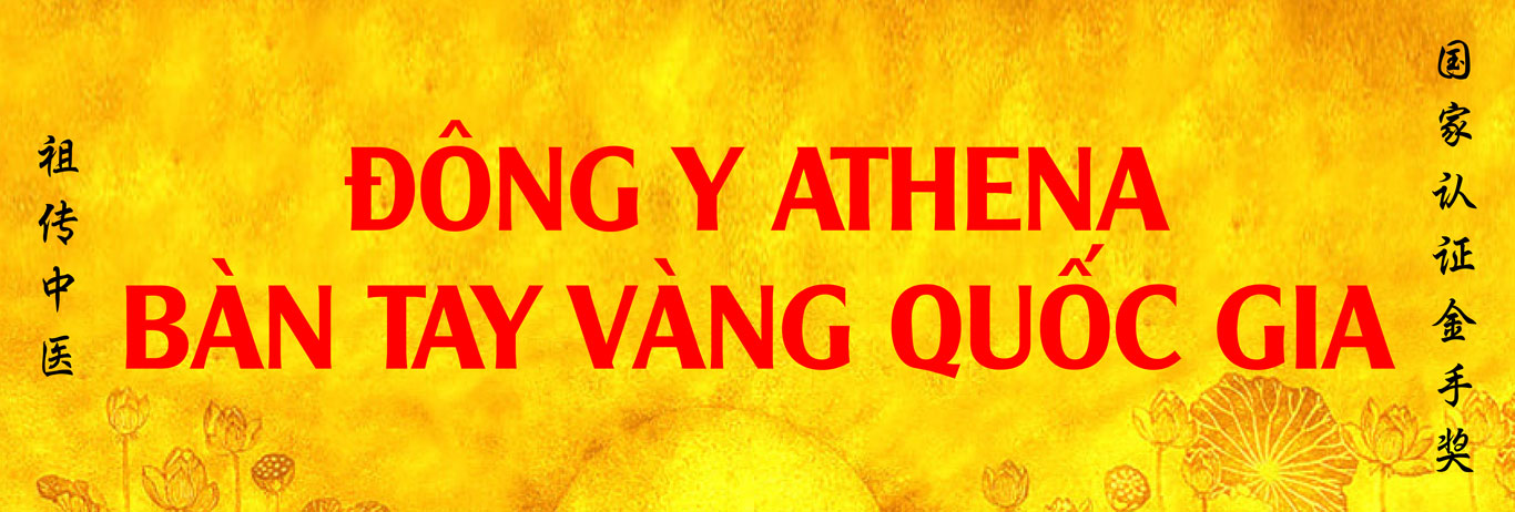 Các video dưới banner